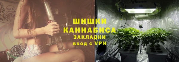 гидра Арсеньев
