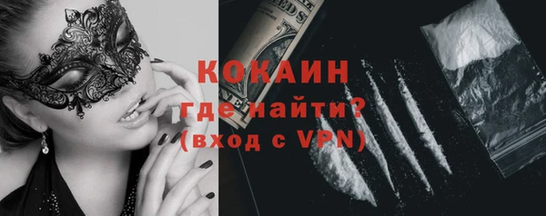 гидра Арсеньев