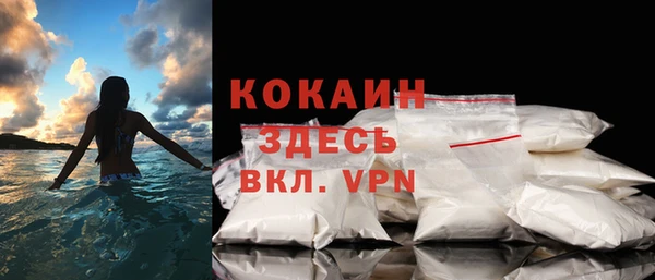 гидра Арсеньев