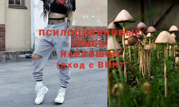 гидра Арсеньев