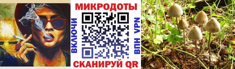 Псилоцибиновые грибы Cubensis  наркотики  Феодосия 